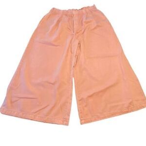 Anthropologie Pilcro XL Peach Pink High Rise Wide Leg Crop Culottes Pants